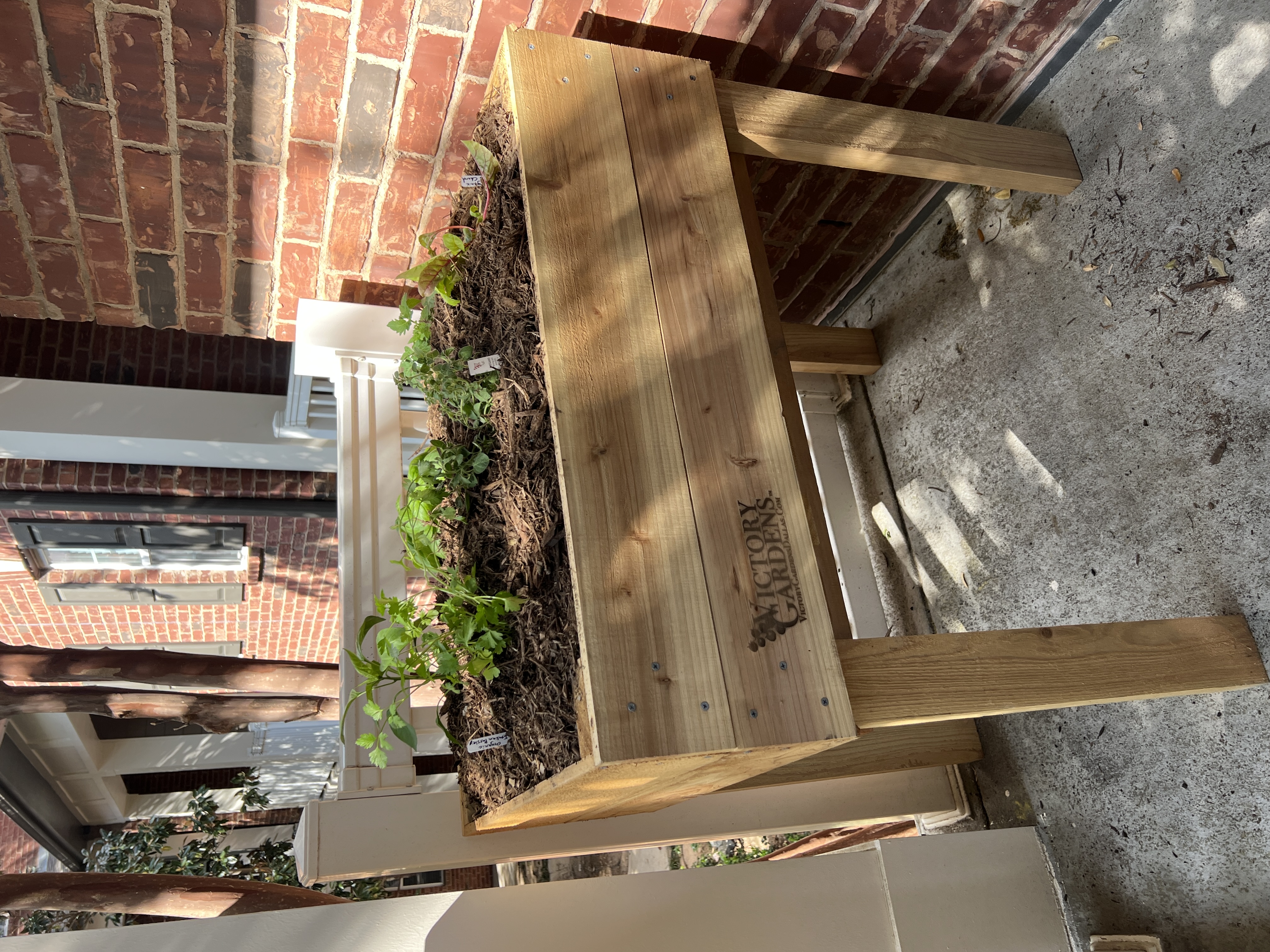 Choosing your garden bed